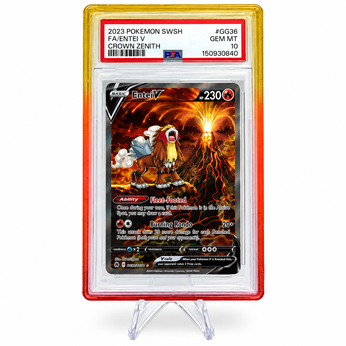 PSA Graded Card Acrylic Guard – Protective Case for Pokémon Cards